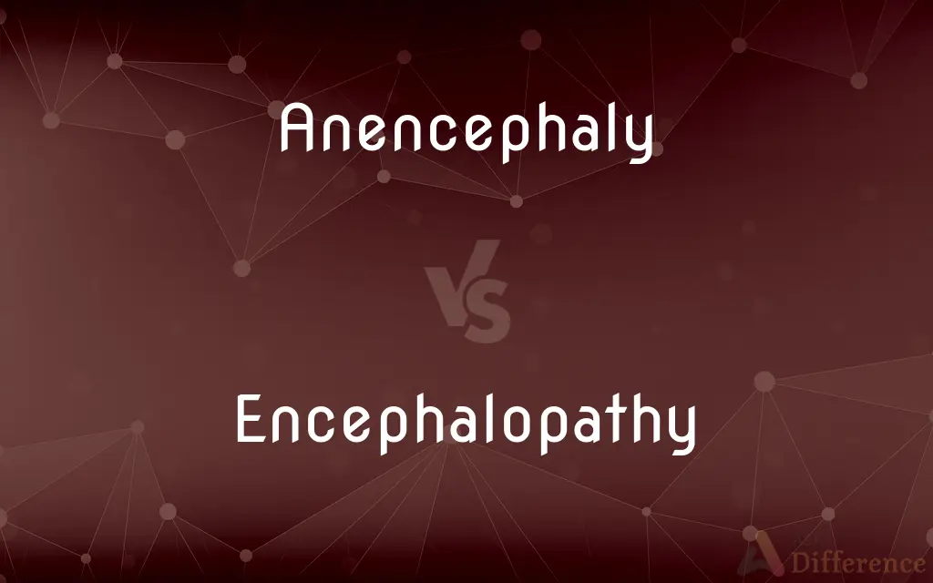 Anencephaly vs. Encephalopathy — What's the Difference?
