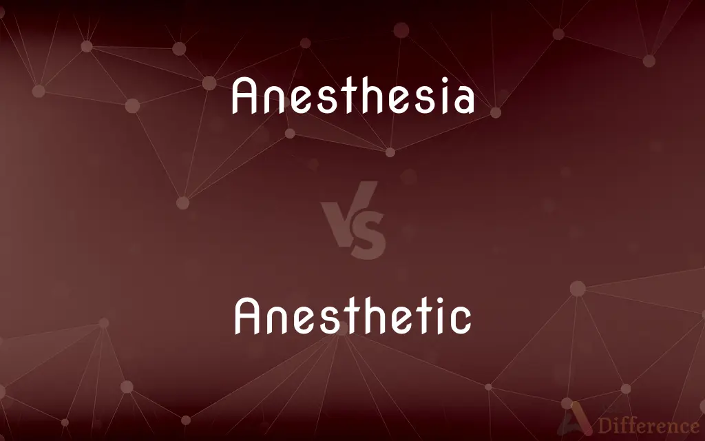 Anesthesia vs. Anesthetic — What's the Difference?