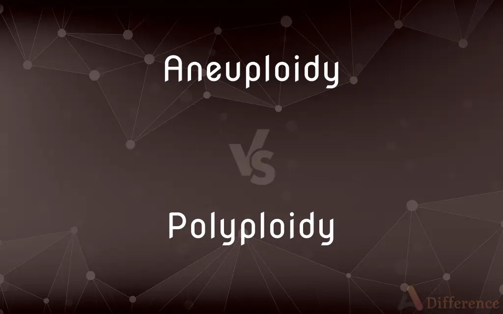 Aneuploidy vs. Polyploidy — What's the Difference?