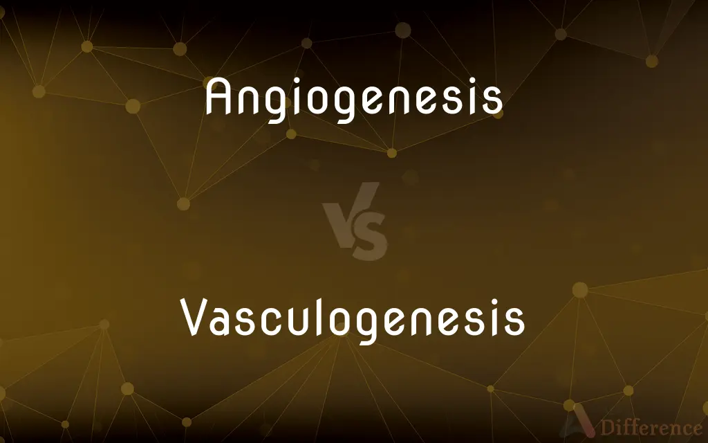 Angiogenesis vs. Vasculogenesis — What's the Difference?