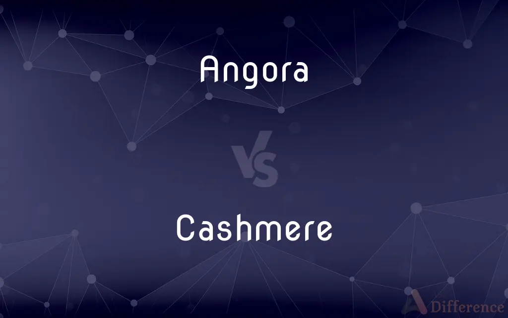 Angora vs. Cashmere — What's the Difference?