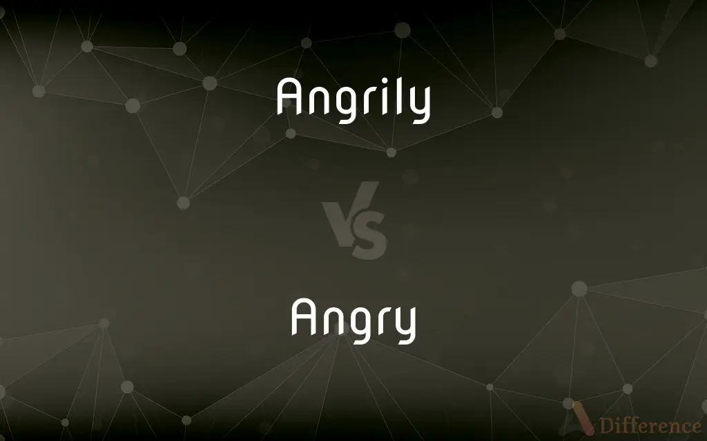 Angrily vs. Angry — What's the Difference?