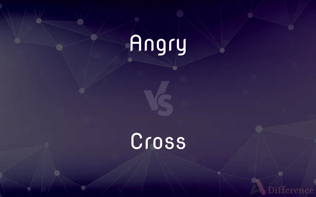 Angry vs. Cross — What's the Difference?