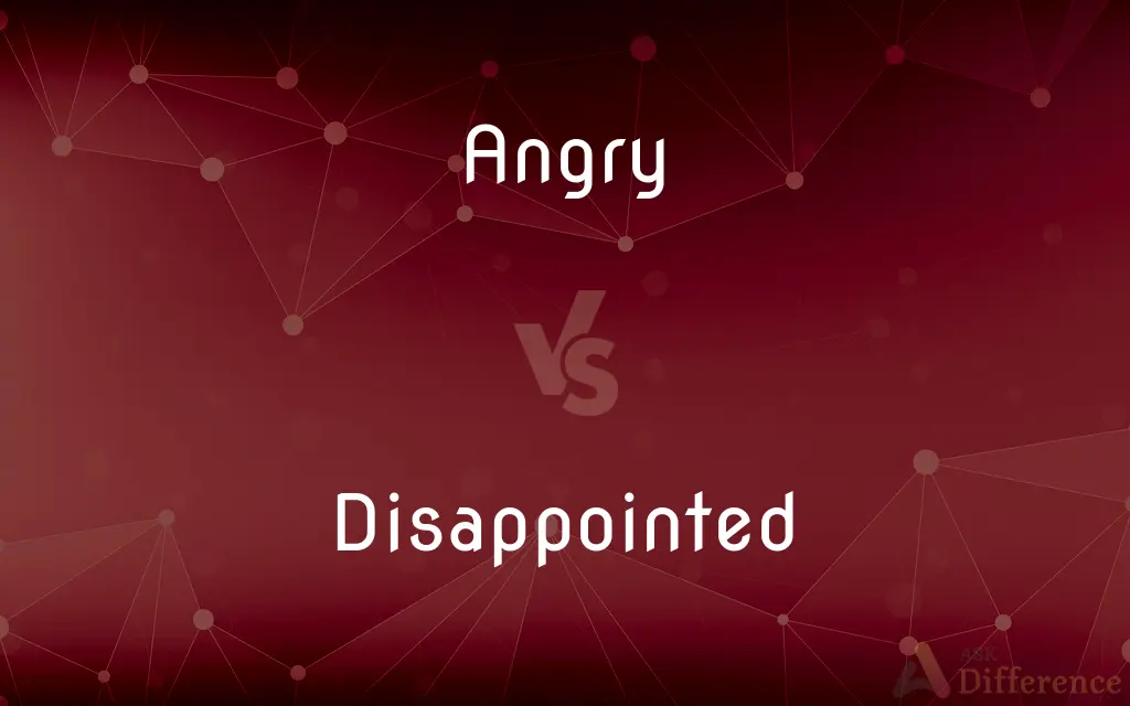Angry vs. Disappointed — What's the Difference?