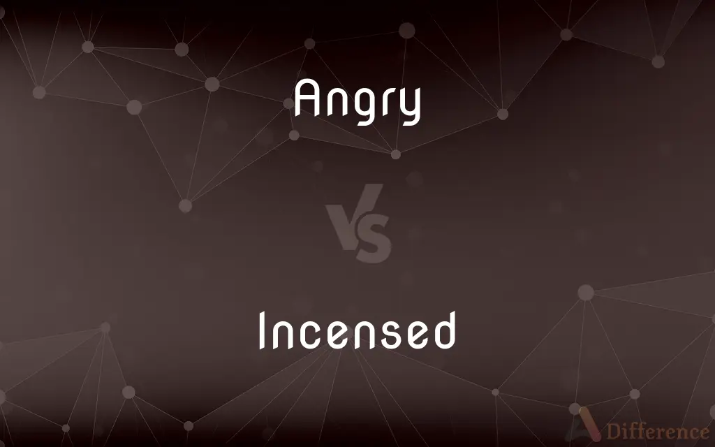 Angry vs. Incensed — What's the Difference?
