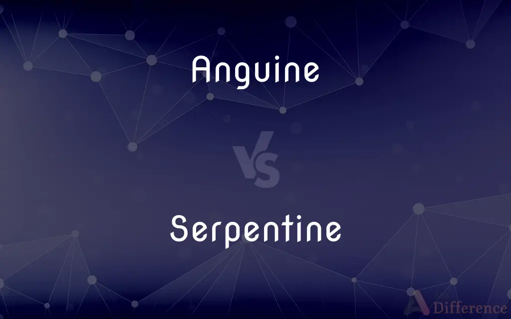 Anguine vs. Serpentine — What's the Difference?