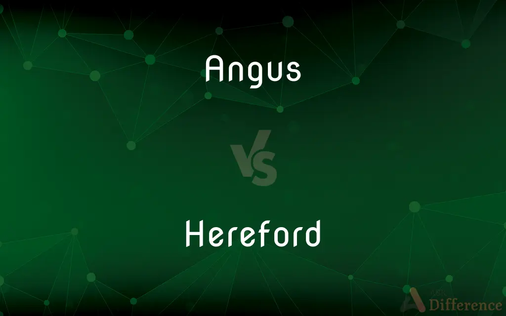 Angus vs. Hereford — What's the Difference?