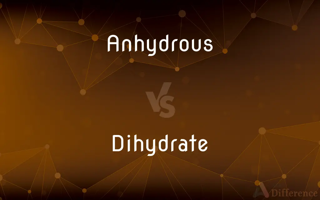 Anhydrous vs. Dihydrate — What's the Difference?