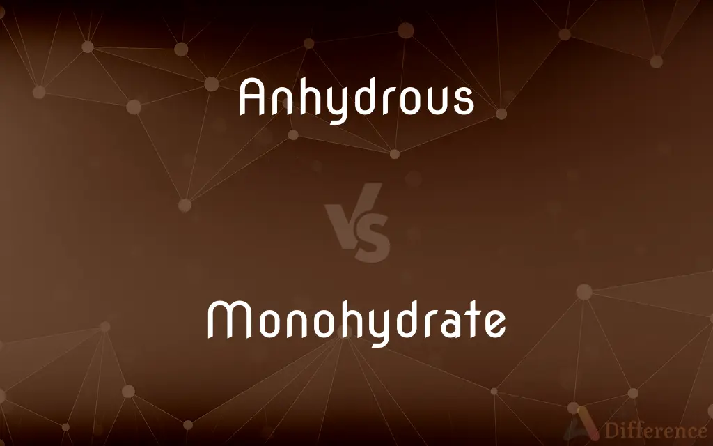 Anhydrous vs. Monohydrate — What's the Difference?