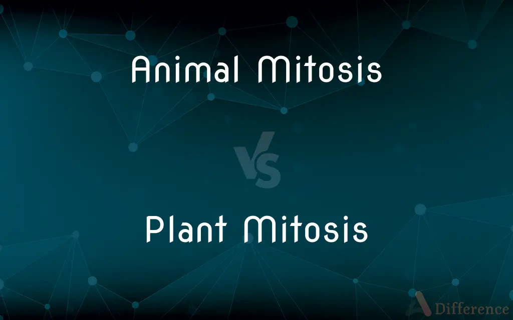 Animal Mitosis vs. Plant Mitosis — What's the Difference?