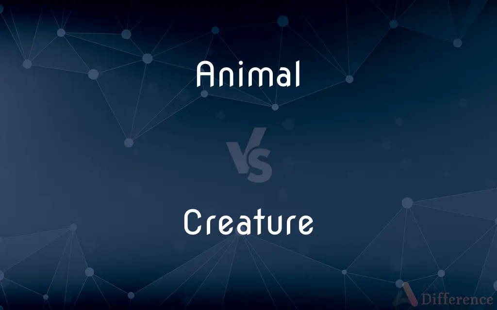 Animal vs. Creature — What's the Difference?