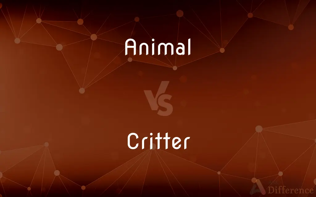 Animal vs. Critter — What's the Difference?