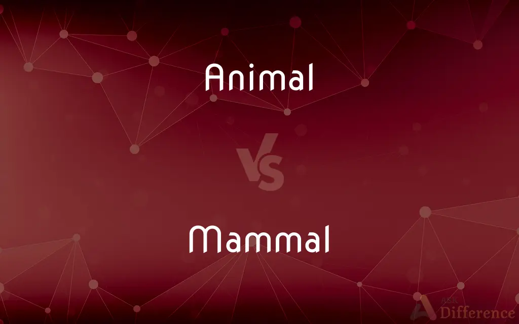Animal vs. Mammal — What's the Difference?