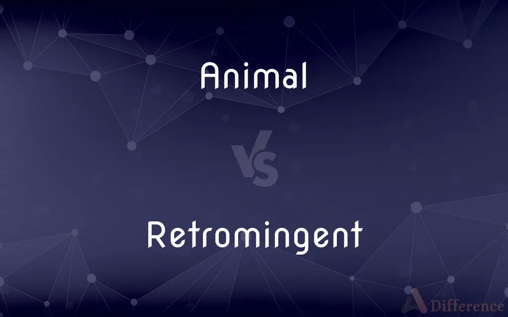 Animal vs. Retromingent — What's the Difference?
