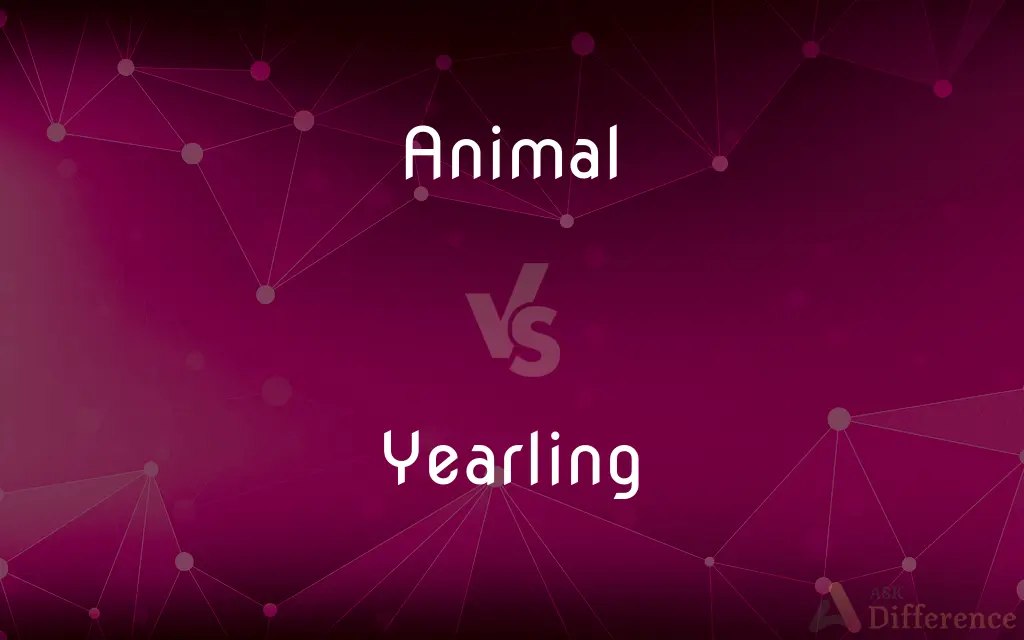 Animal vs. Yearling — What's the Difference?