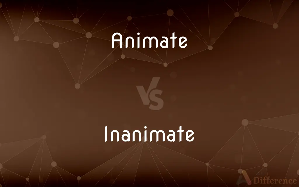 Animate vs. Inanimate — What's the Difference?