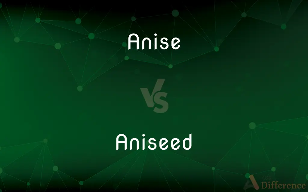 Anise vs. Aniseed — What's the Difference?