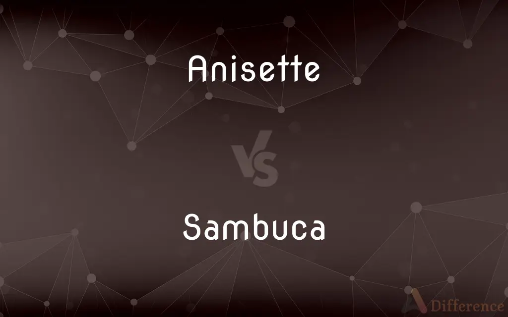 Anisette vs. Sambuca — What's the Difference?