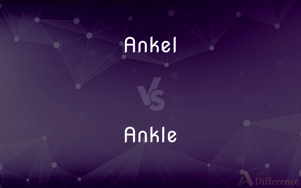 Ankel vs. Ankle — Which is Correct Spelling?