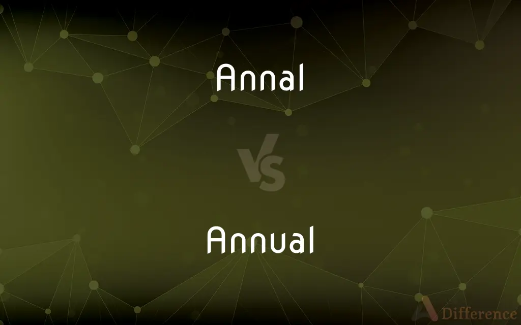 Annal vs. Annual — What's the Difference?