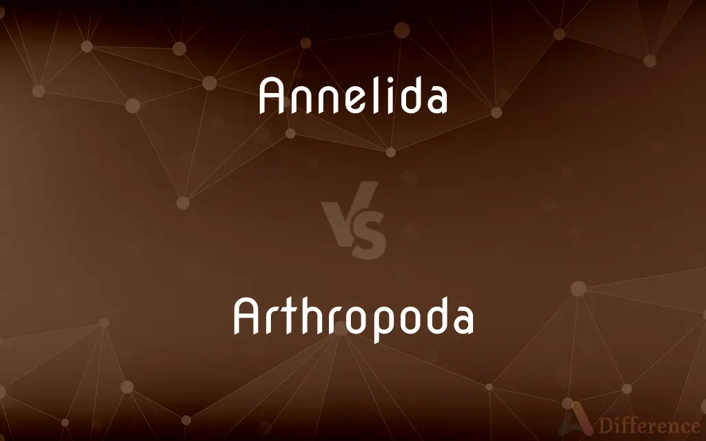 Annelida vs. Arthropoda — What's the Difference?