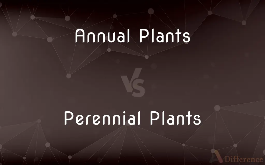 Annual Plants vs. Perennial Plants — What's the Difference?