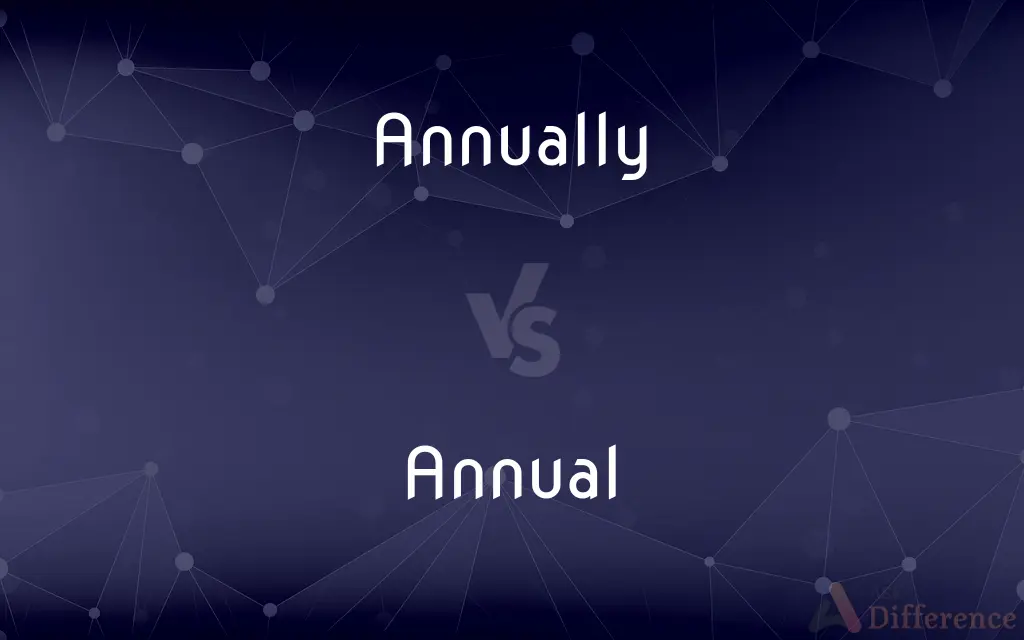 Annually vs. Annual — What's the Difference?