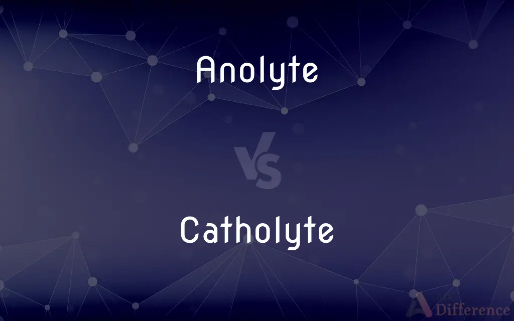 Anolyte vs. Catholyte — What's the Difference?