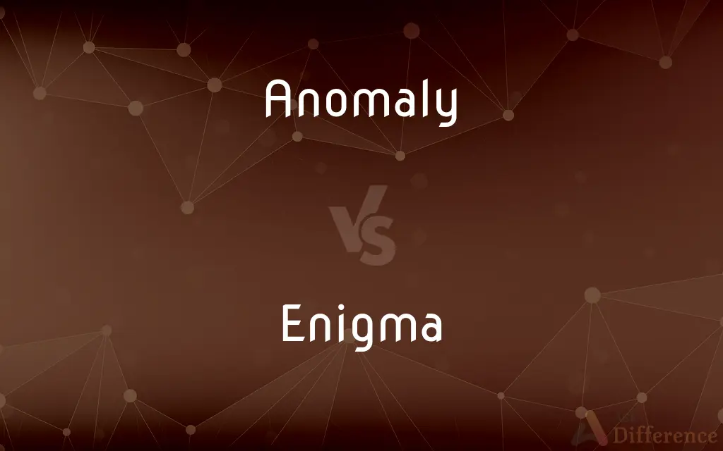 Anomaly vs. Enigma — What's the Difference?
