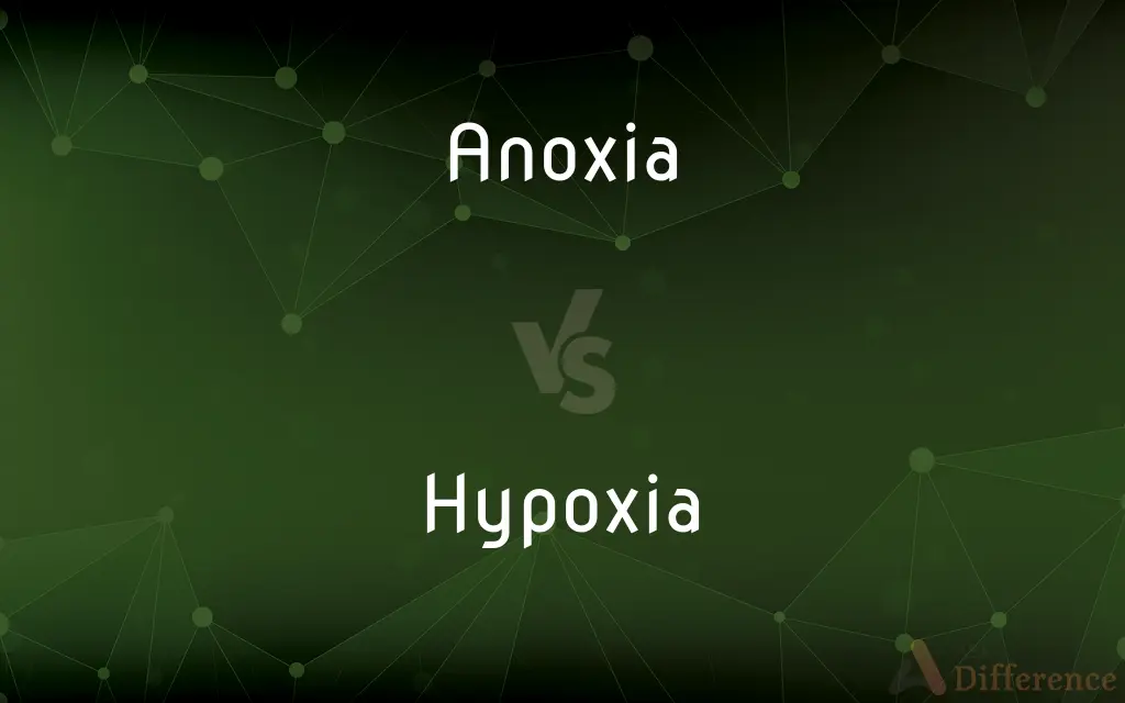 Anoxia vs. Hypoxia — What's the Difference?