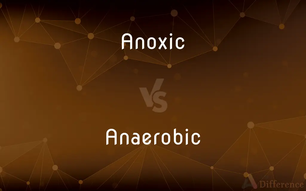 Anoxic vs. Anaerobic — What's the Difference?