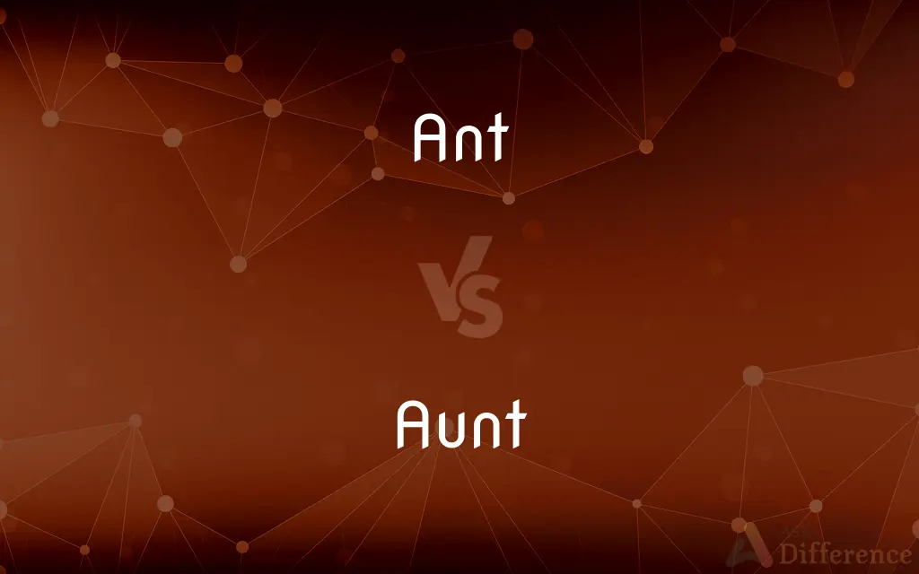 Ant vs. Aunt — What's the Difference?