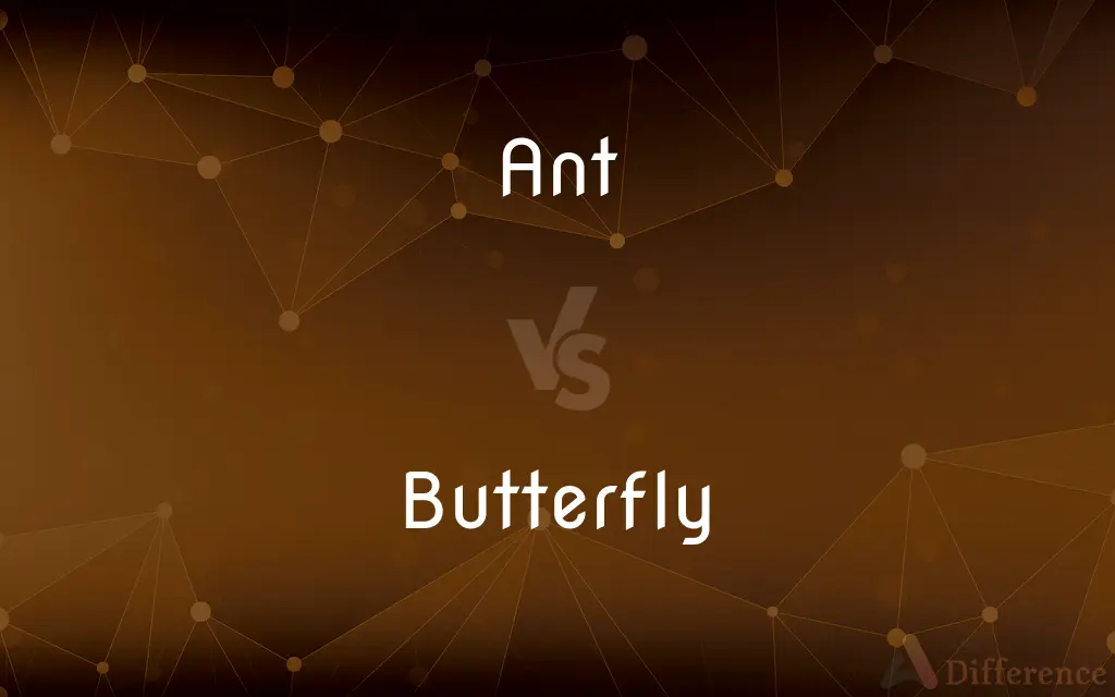 Ant vs. Butterfly — What's the Difference?