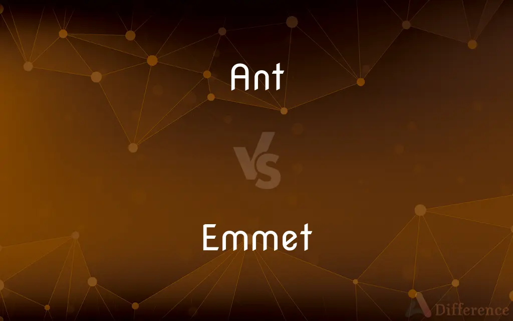 Ant vs. Emmet — What's the Difference?