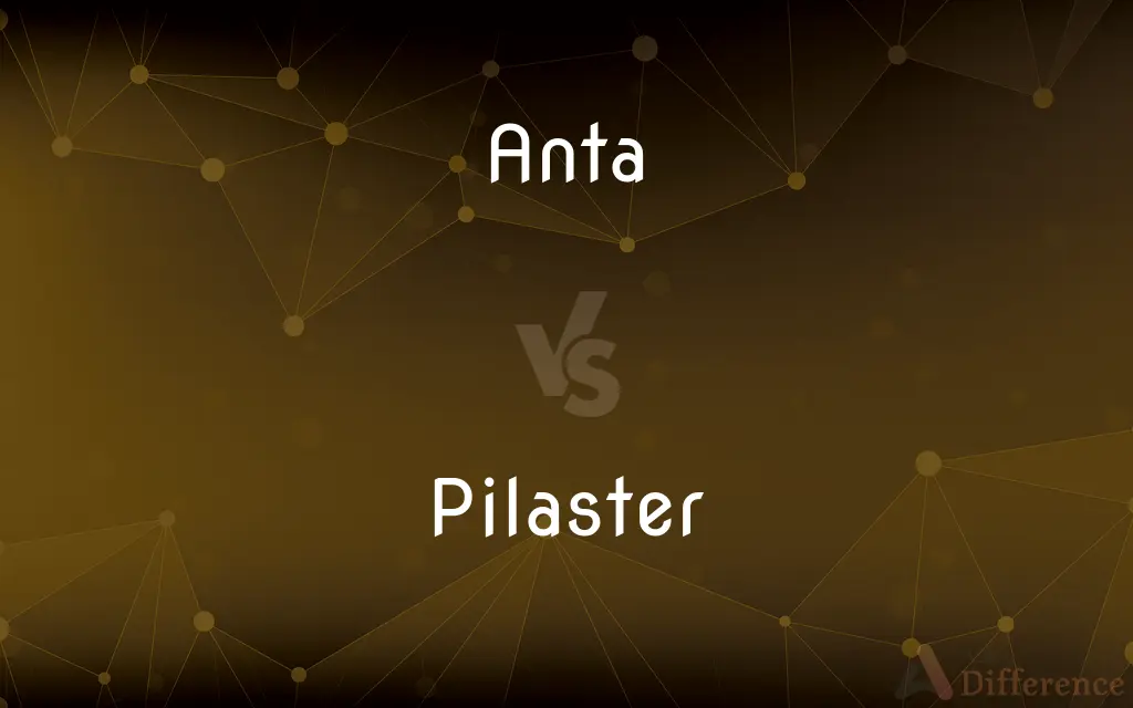 Anta vs. Pilaster — What's the Difference?