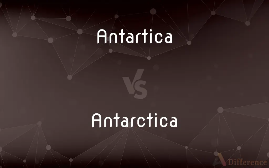 Antartica vs. Antarctica — Which is Correct Spelling?