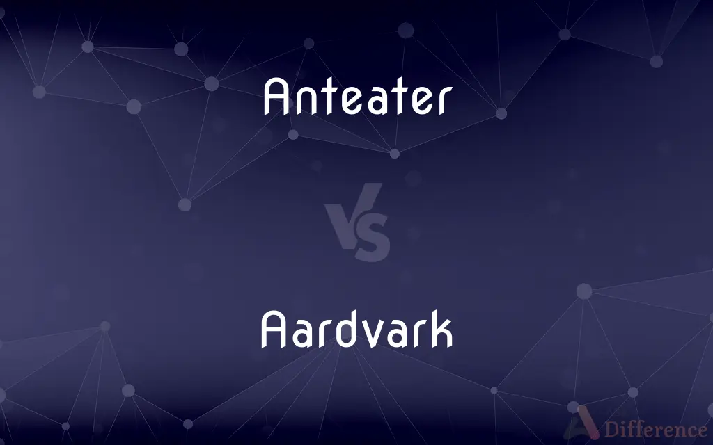 Anteater vs. Aardvark — What's the Difference?
