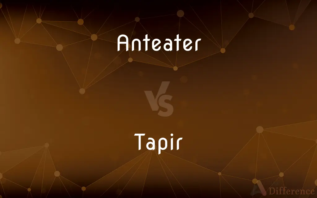 Anteater vs. Tapir — What's the Difference?