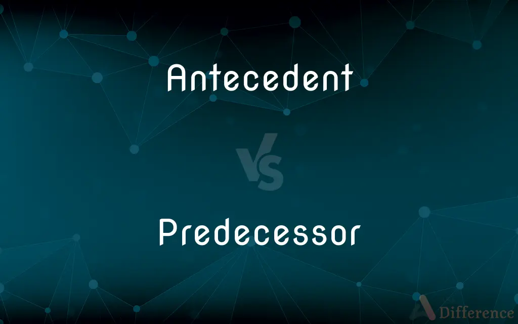 Antecedent vs. Predecessor — What's the Difference?