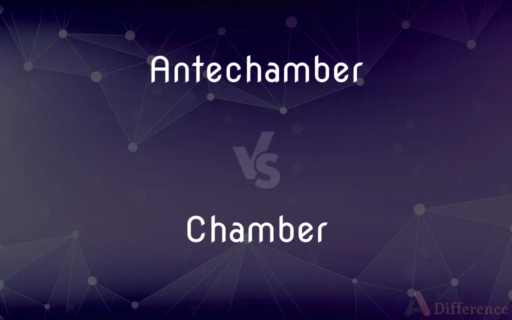 Antechamber vs. Chamber — What's the Difference?
