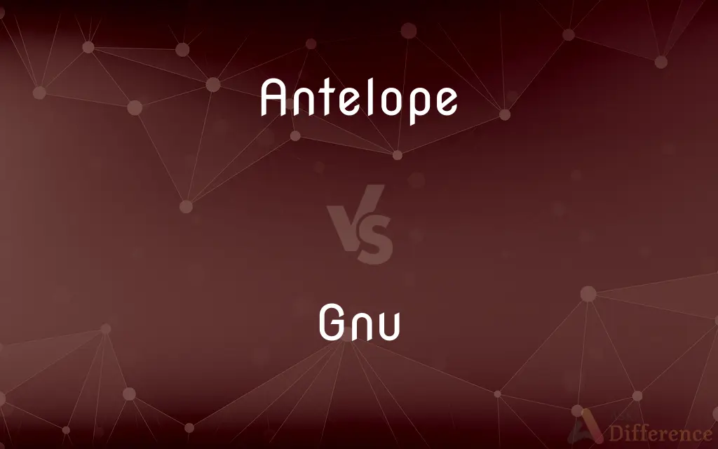 Antelope vs. Gnu — What's the Difference?