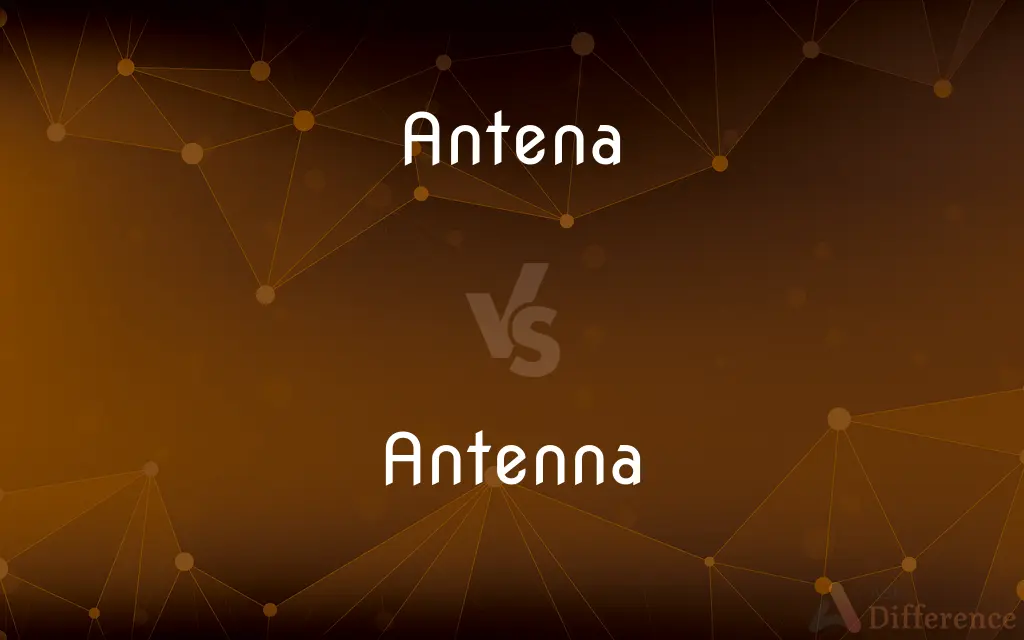 Antena vs. Antenna — Which is Correct Spelling?
