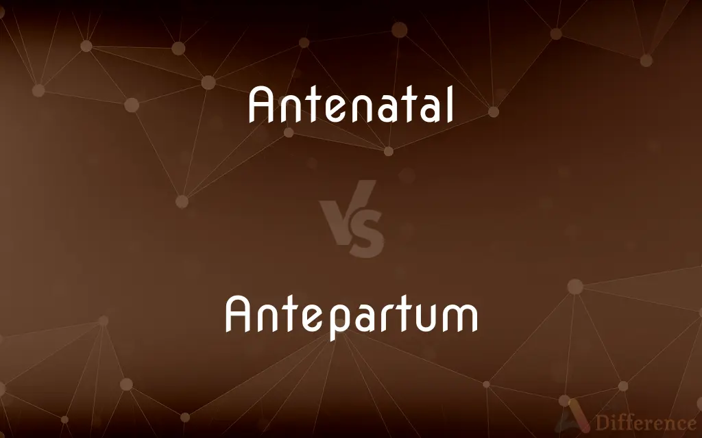 Antenatal vs. Antepartum — What's the Difference?