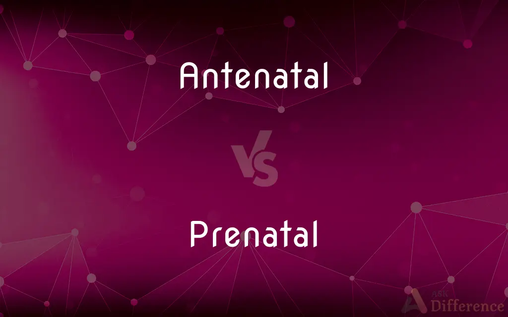Antenatal vs. Prenatal — What's the Difference?