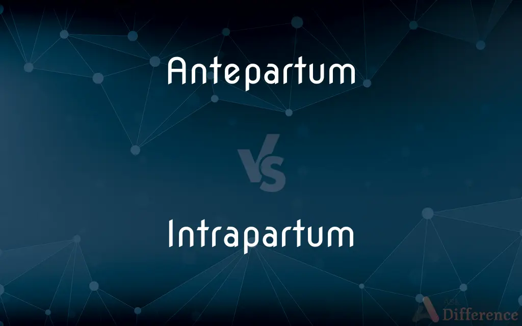 Antepartum vs. Intrapartum — What's the Difference?