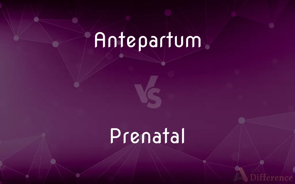 Antepartum vs. Prenatal