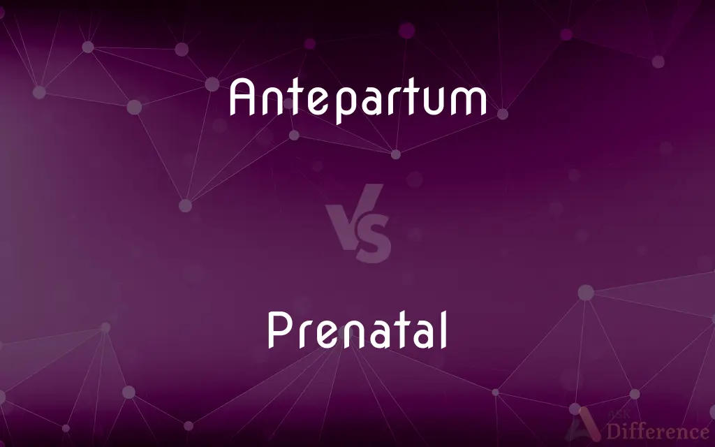 Antepartum vs. Prenatal — What's the Difference?