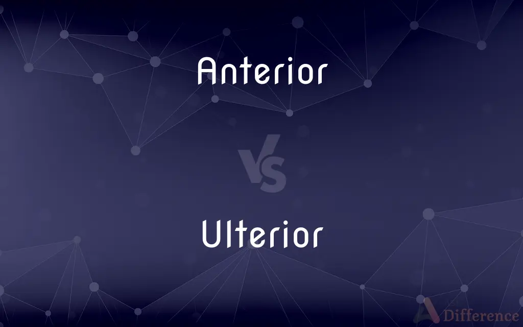Anterior vs. Ulterior — What's the Difference?