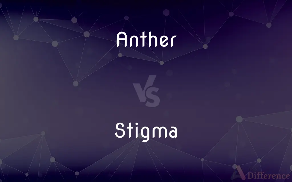 Anther vs. Stigma — What's the Difference?