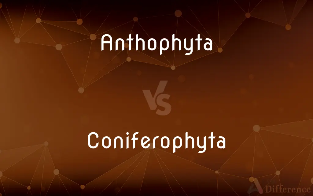Anthophyta vs. Coniferophyta — What's the Difference?